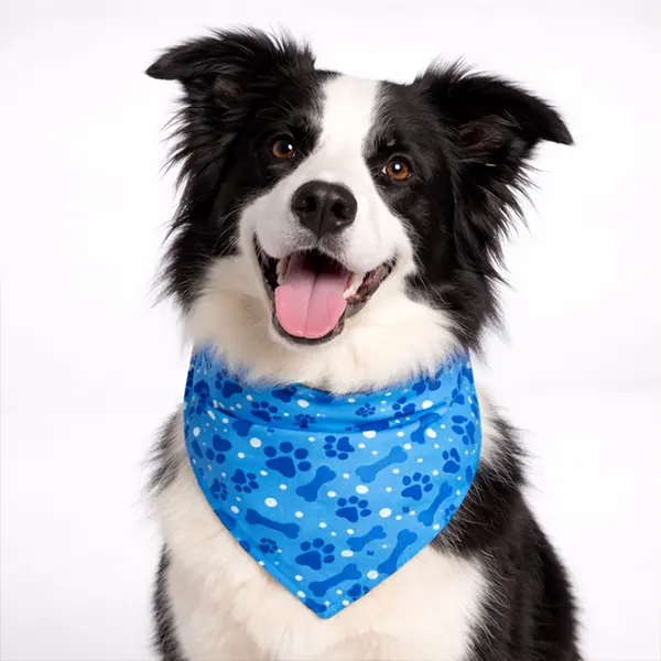 Dog Bandanas