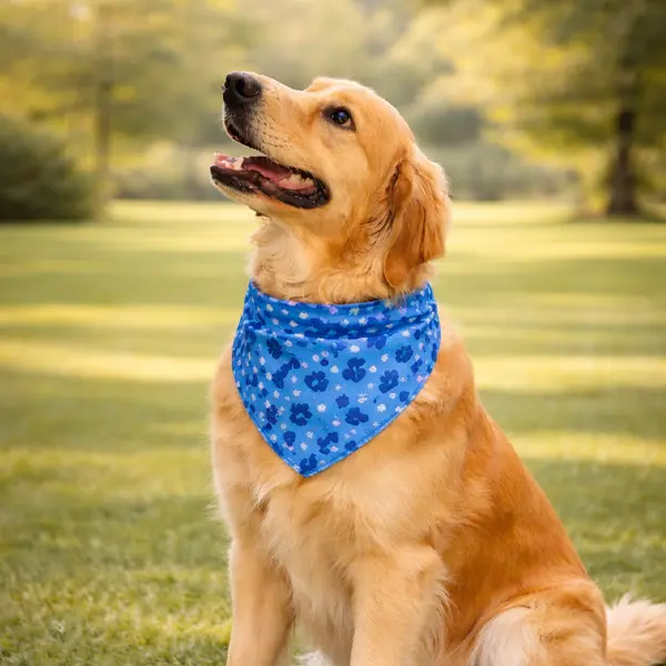 Dog with a Bandana