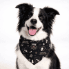 Dog Bandanas