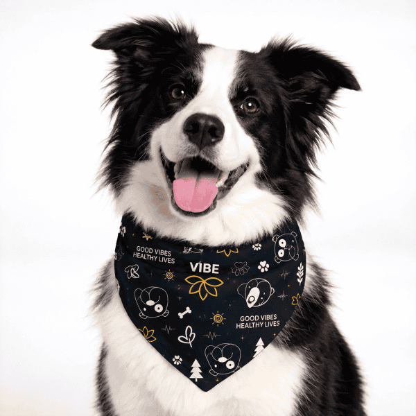 Dog Bandanas Dog Bandanas