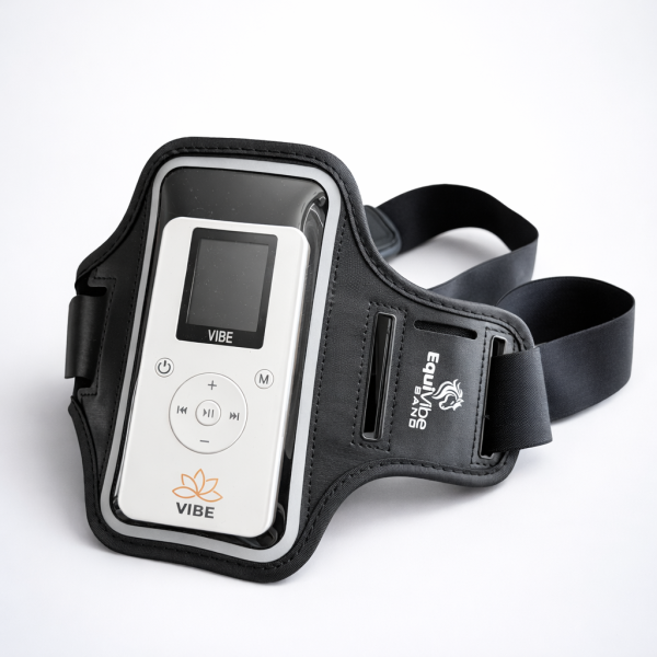 EquiVibe Band