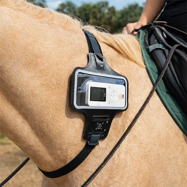 EquiVibe Band EquiVibe Band