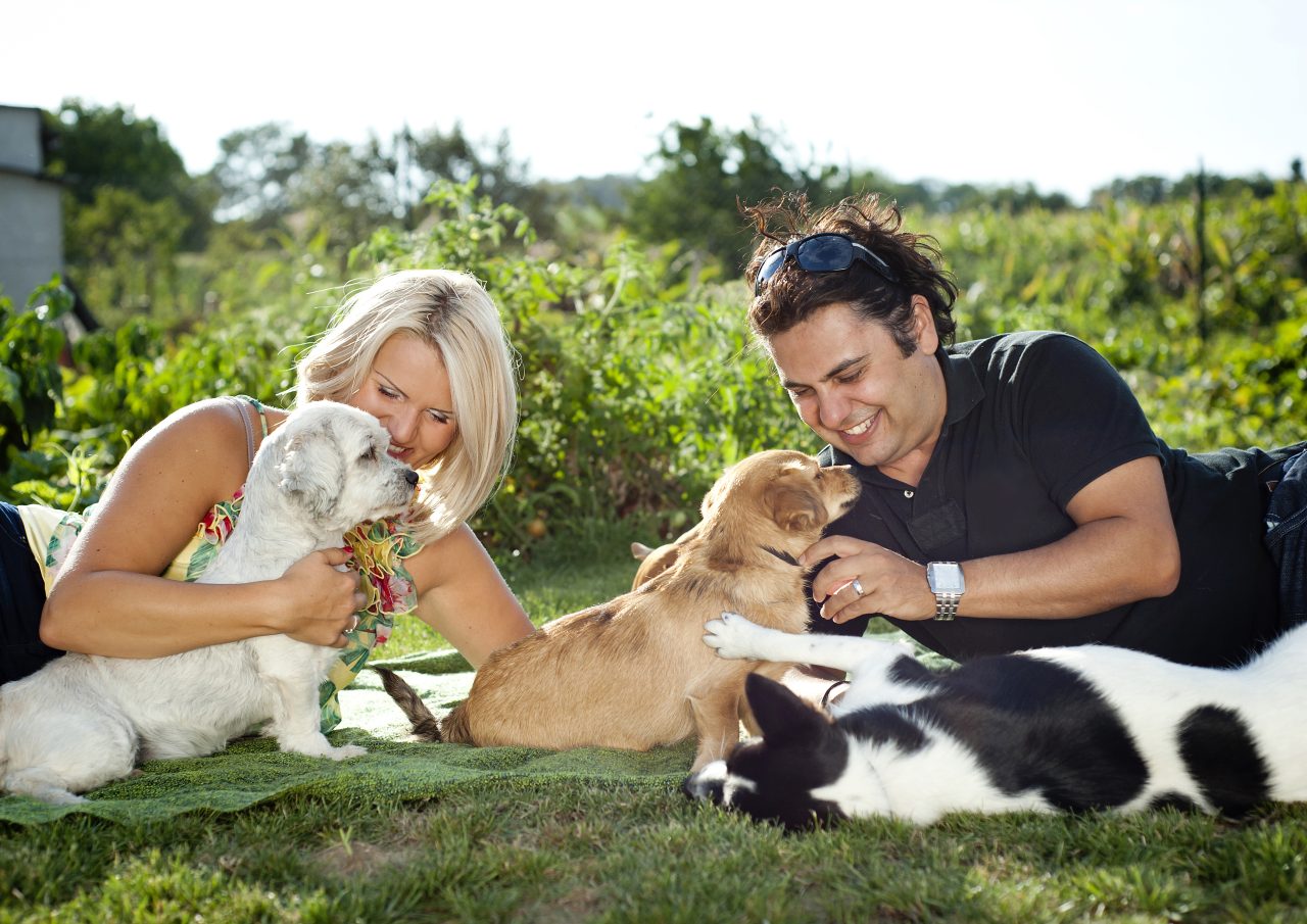 Resona Health Dogs Resona Health Dogs