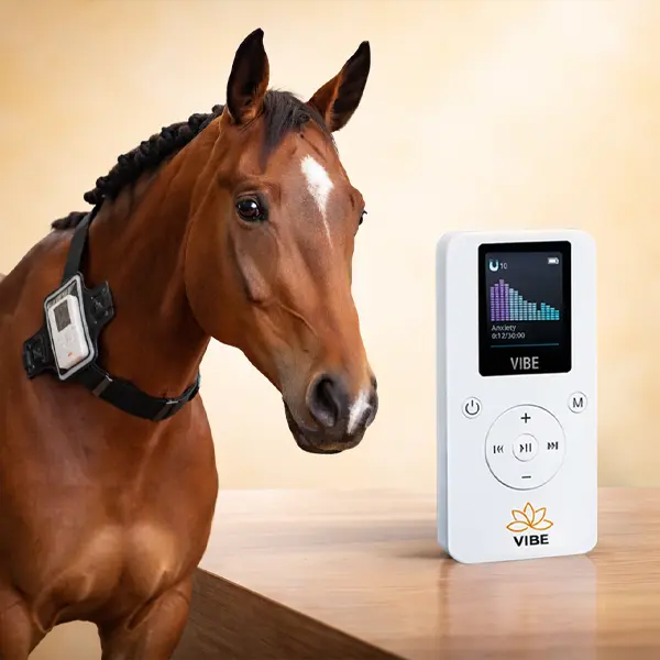 VIBE EquiVibe Bundle VIBE EquiVibe Bundle