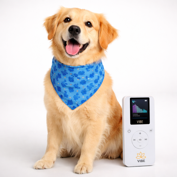 VIBE Dog Bandana Bundle