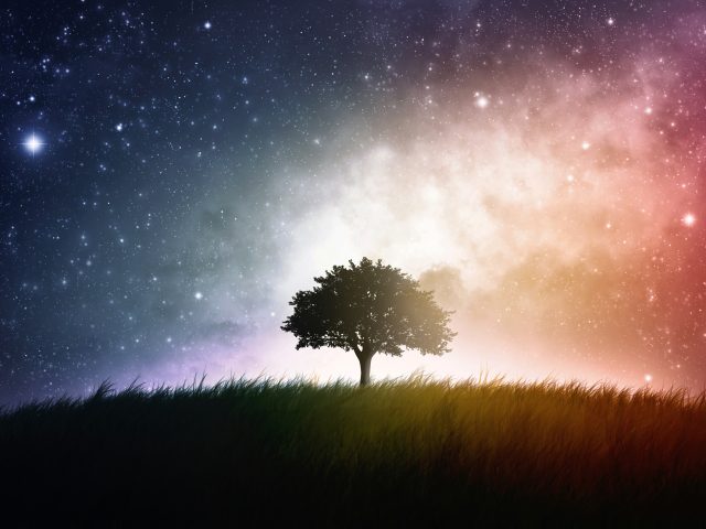 Beauty Through Frequency | Mark Fox on PEMF and Cellular Radiance