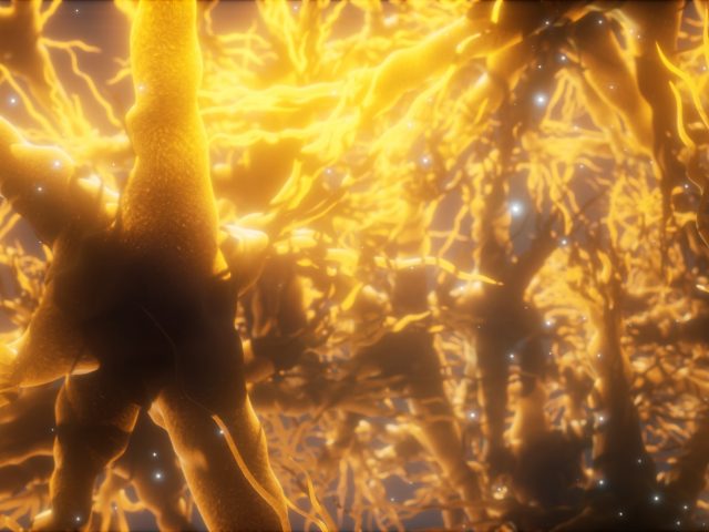 Unlock Calm and Balance with the Vagus Nerve Protocol on the VIBE