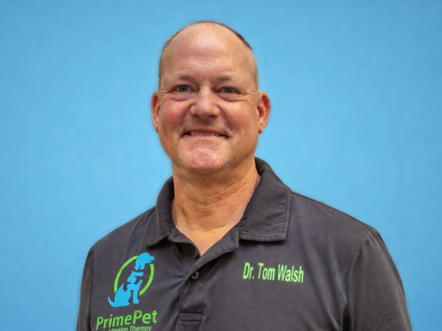 Resona Health Welcomes Dr Tom Walsh as Chief Veterinary Officer