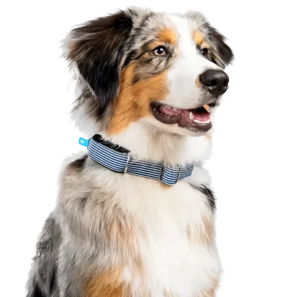 MiniTailz BioTracker