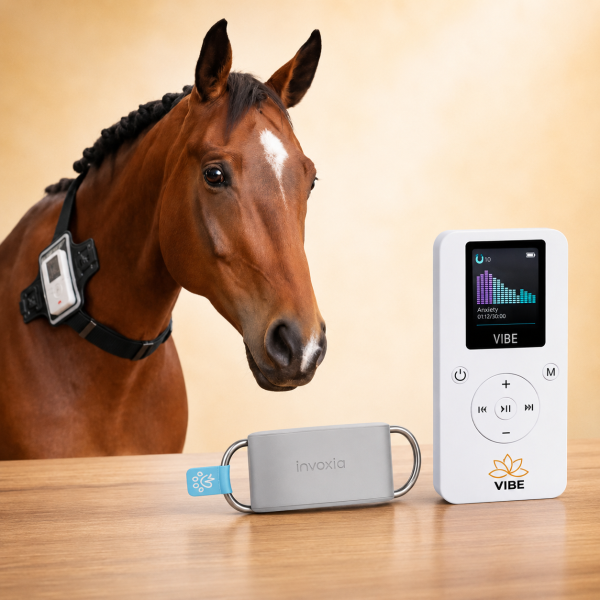 Horse Wellness System