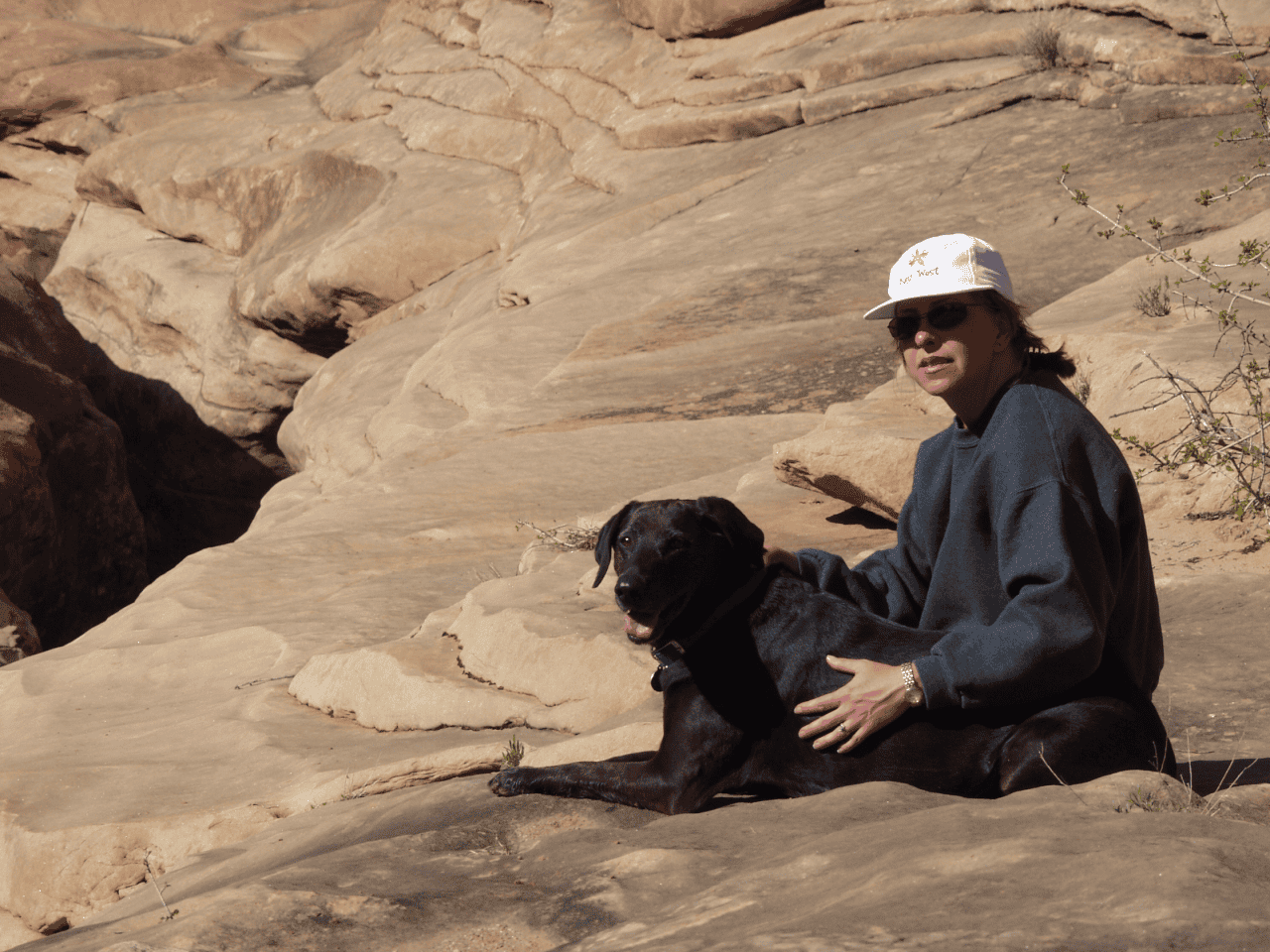 Lechien’s Story