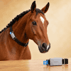 MiniTailz BioTracker Horses